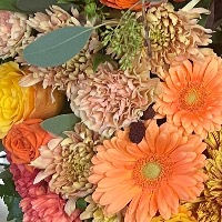 Kirsten Bjørg Amdam Hove