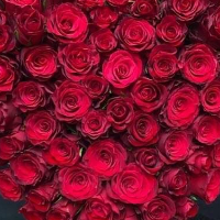 Jofrid Olga Myklebust