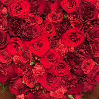 Oddmund Bjarne Otterlei